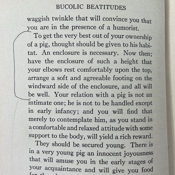 Bucolic Beatitudes by Rusticus, Illustrated by Decie Merwin, Little Brown 1927 - Picture 11 of 14
